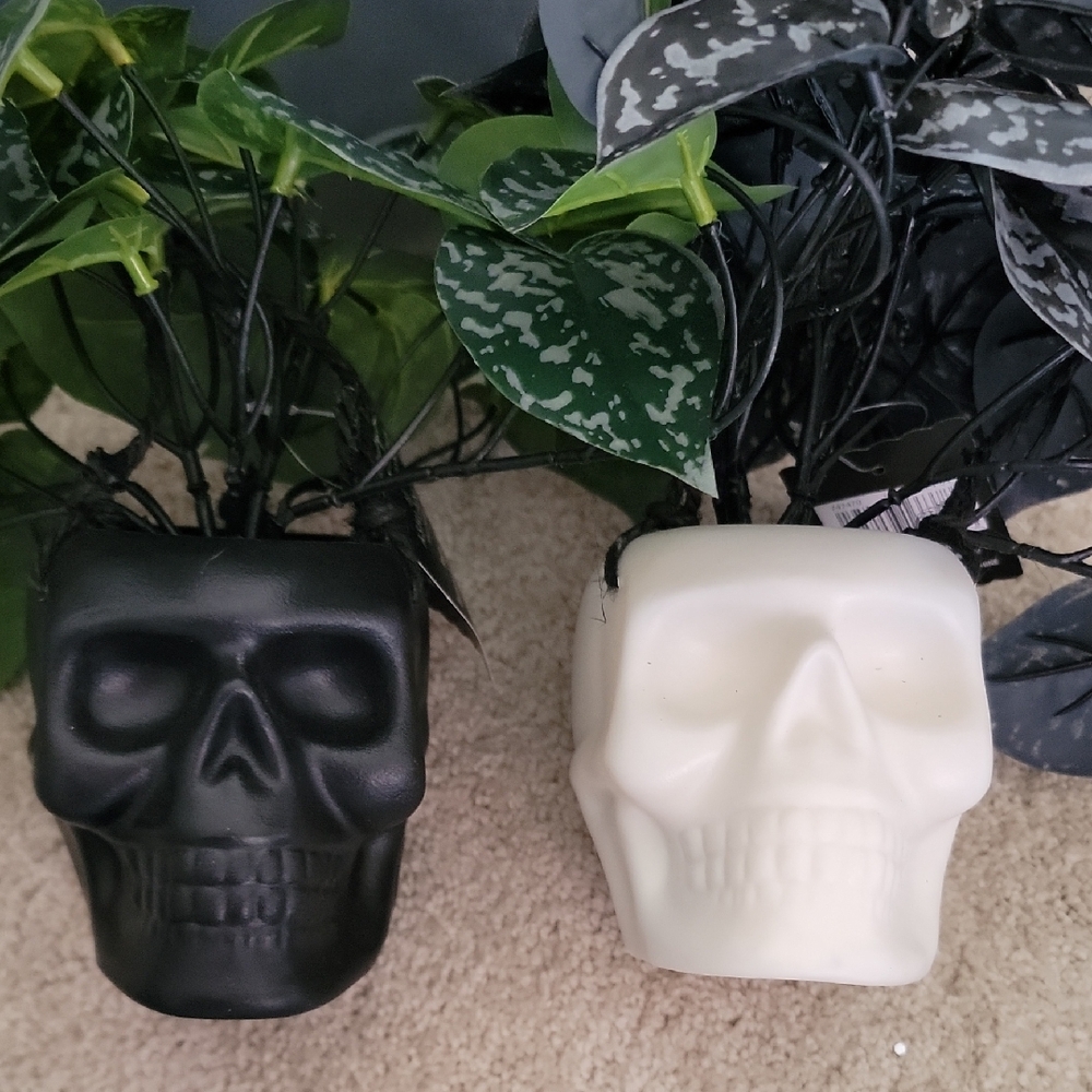 New 2 Ashland Halloween Black and Cream Skull Planters